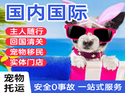 胶东航空托运国际宠物托运 【国